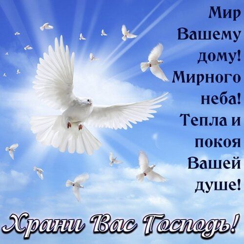 Мир Вашему дому! Мирного неба! Тепла и покоя Вашей душе! Храни Вас Господь!