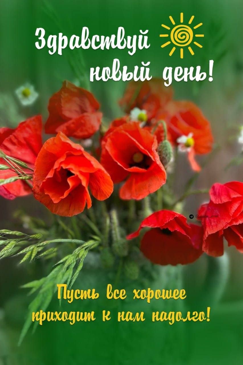 Здравствуй новый день!
Пусть все хорошее приходит к нам надолго!