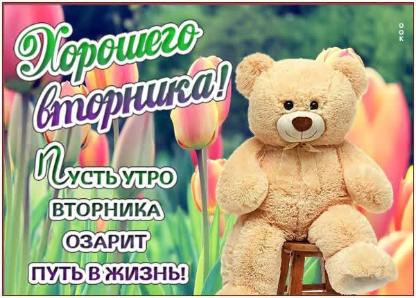 Хорошего вторника! Пусть утро вторника озарит путь в жизнь!