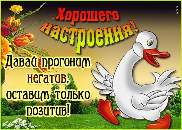 Хорошего настроения!
Давай прогоним негатив, оставим только позитив!