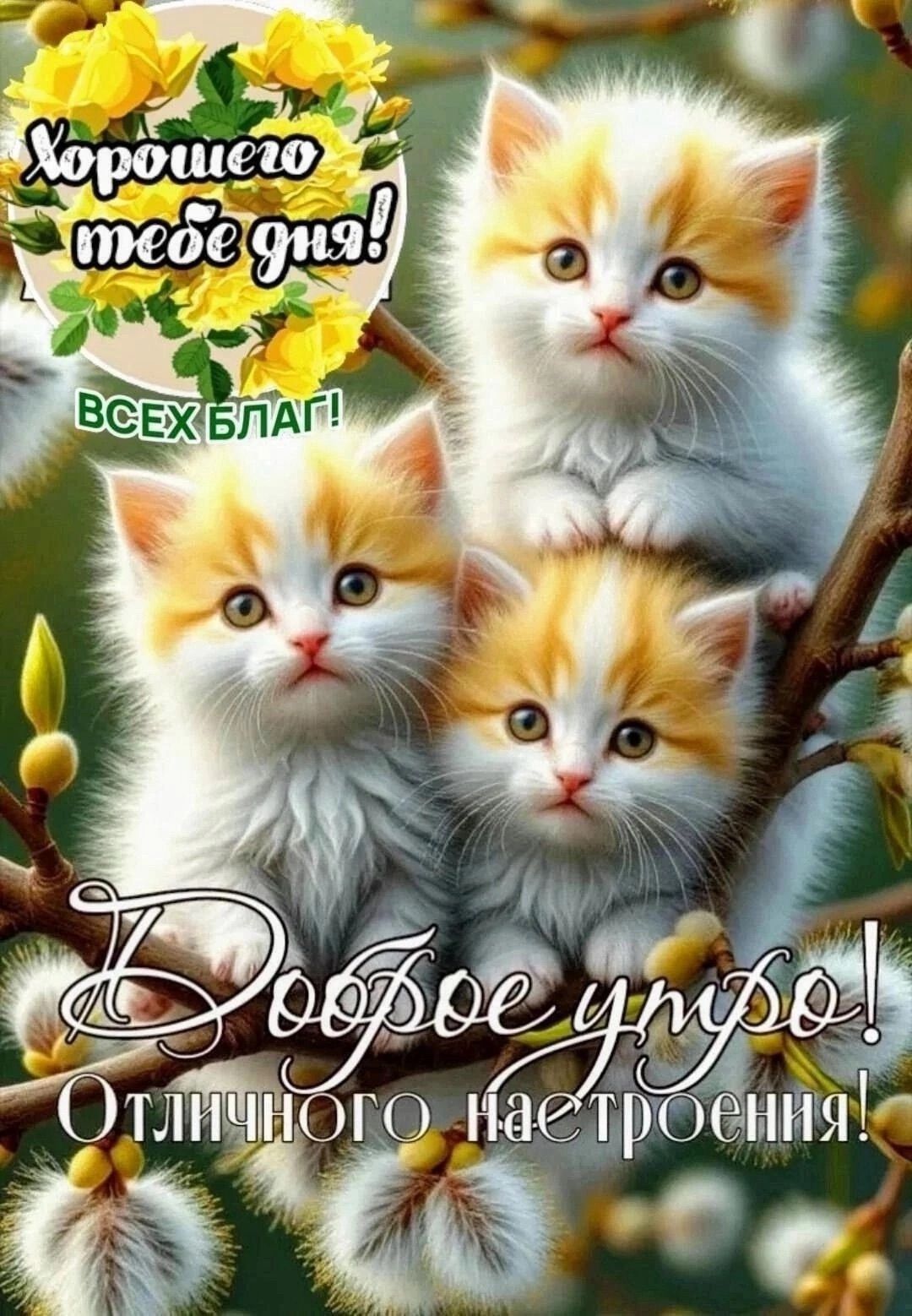 Хорошего тебе дня! ВСЕХ БЛАГ! Доброе утро! Отличного настроения!