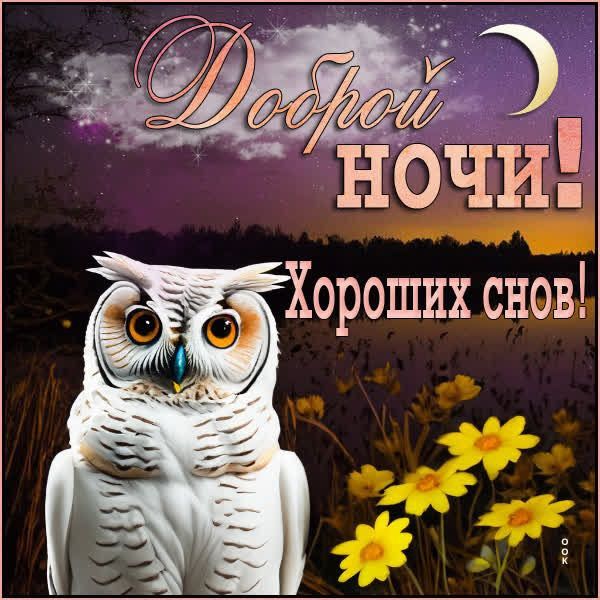 Доброй ночи! Хороших снов!