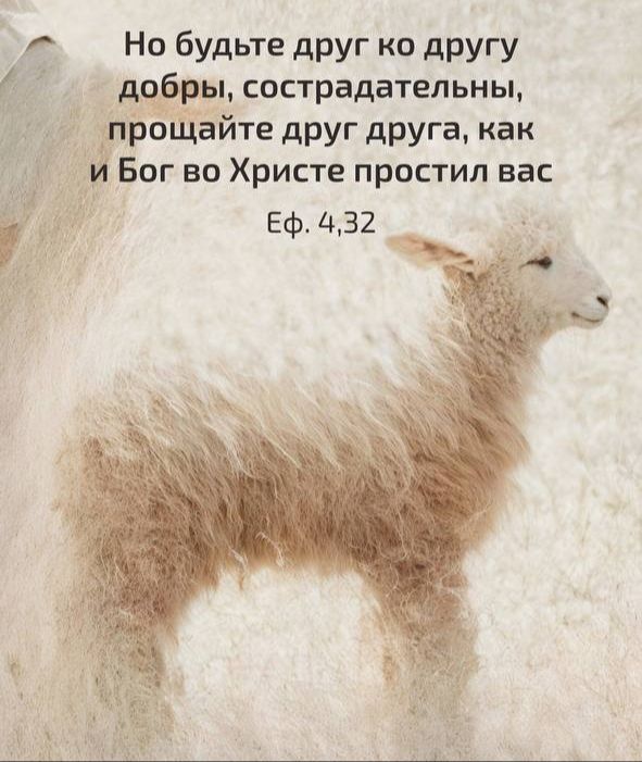 Но будьте друг ко другу добры, сострадательны, прощайте друг друга, как и Бог во Христе простил вас
Еф. 4,32