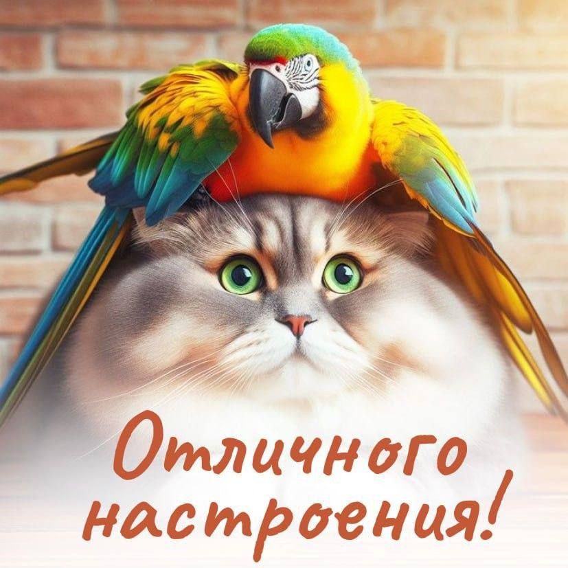Отличного настроения!