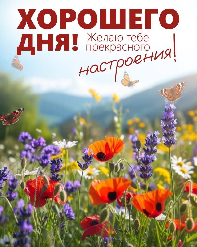ХОРОШЕГО ДНЯ! Желаю тебе прекрасного настроения!