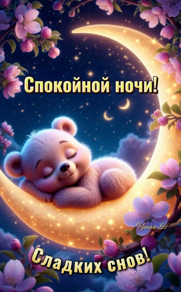 Спокойной ночи! Сладких снов!