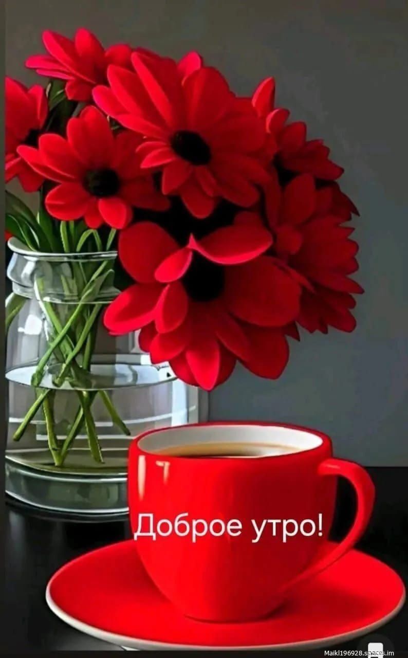 Доброе утро!