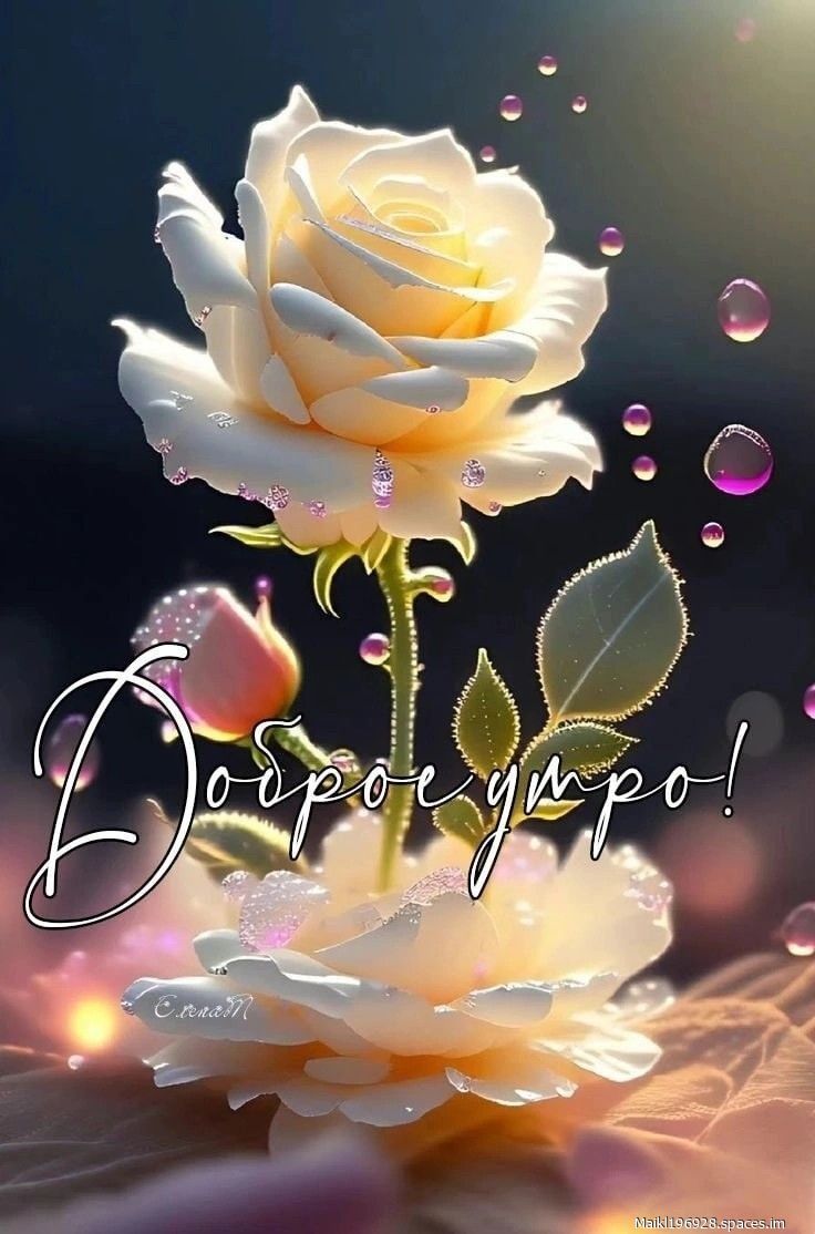 Доброе утро!