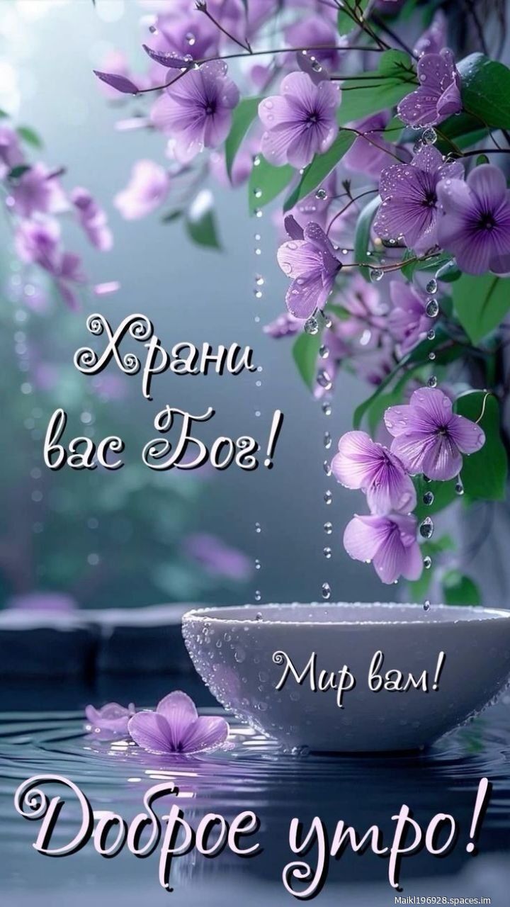 Храни вас Бог! Мир вам! Доброе утро!