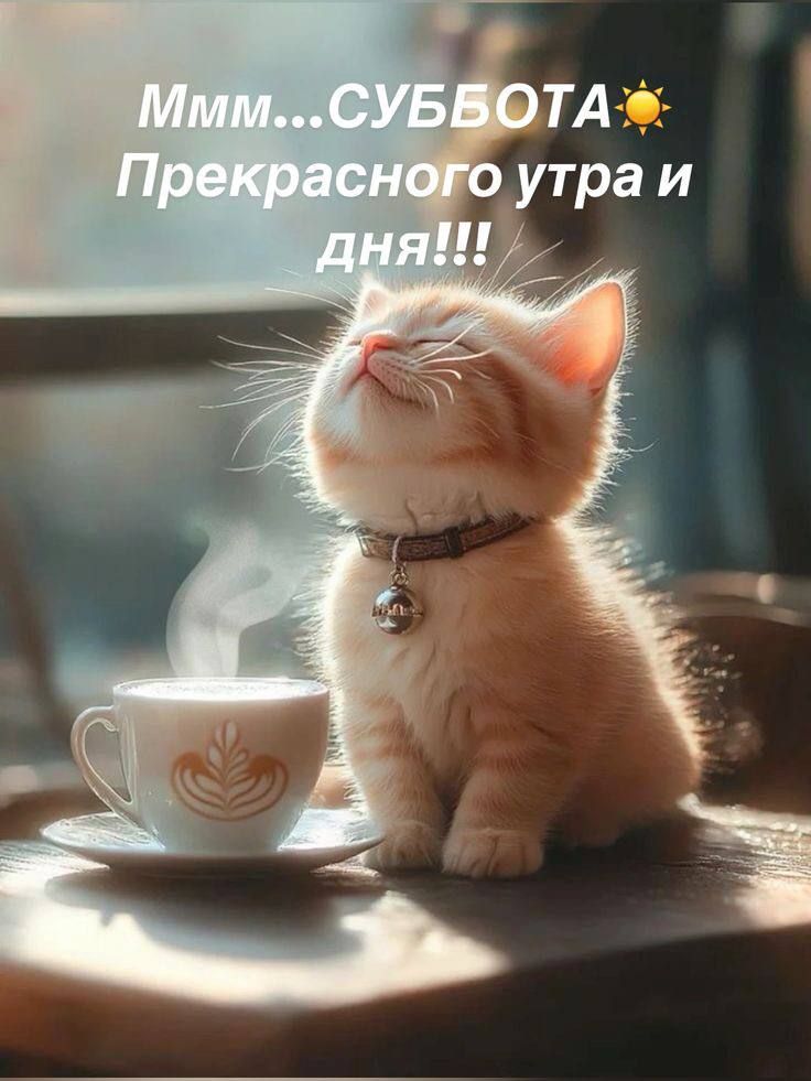 Ммм...СУББОТА☀️ Прекрасного утра и дня!!!