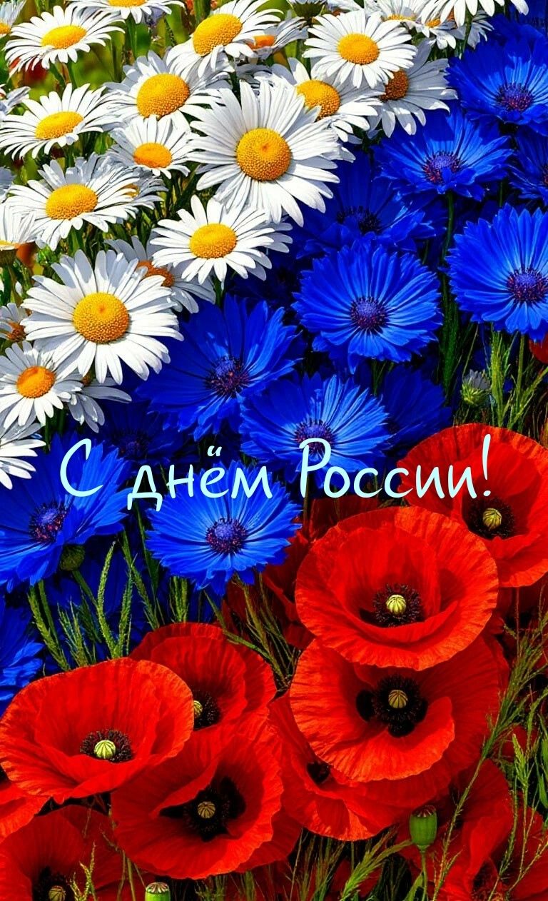 С днём России!
