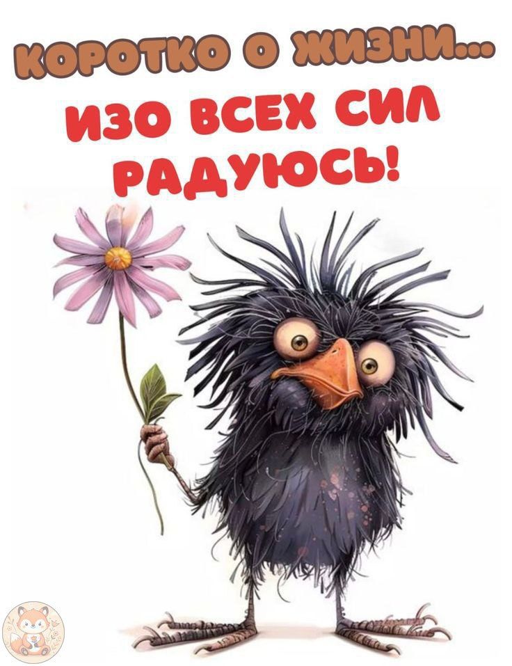 Коротко о жизни... Изо всех сил радуюсь!