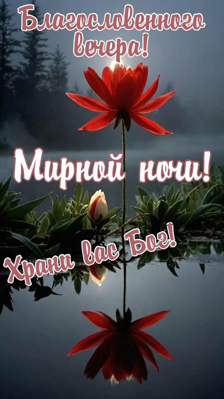Благословенного вечера! Мирной ночи! Храни вас Бог!
