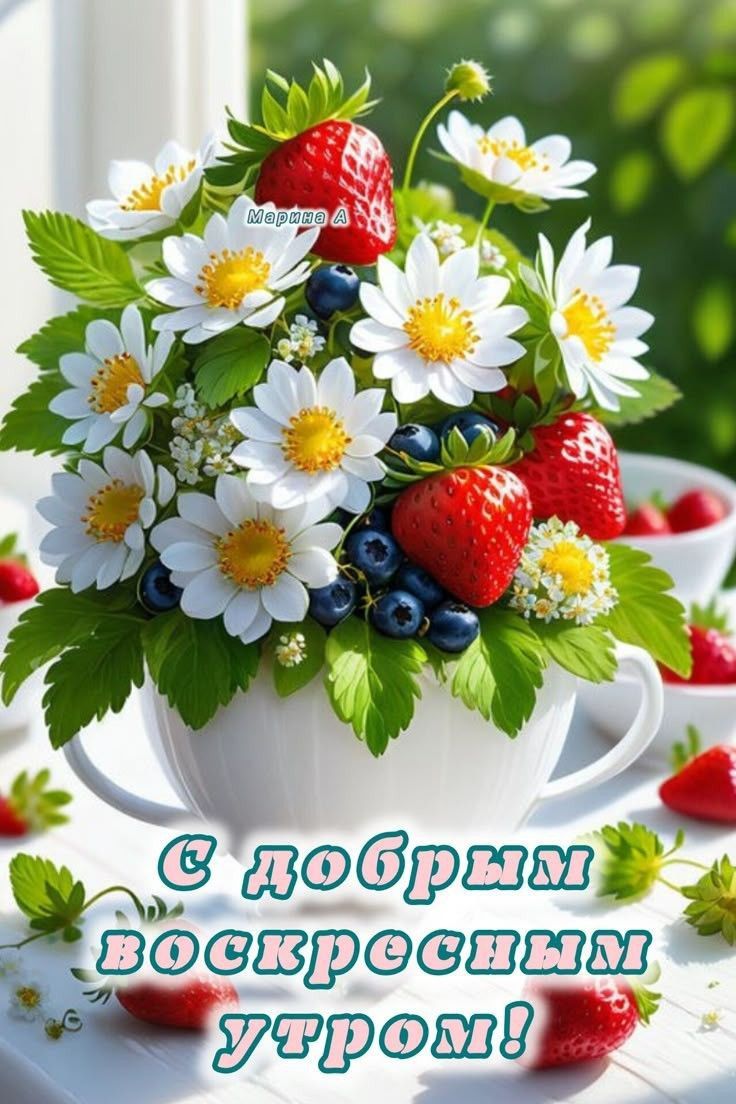 С добрым воскресным утром!