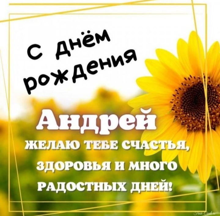 С днём рождения Андрёй желаю тебе счастья, здоровья и много радостных дней!