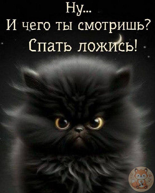 Ну... И чего ты смотришь? Спать ложись!