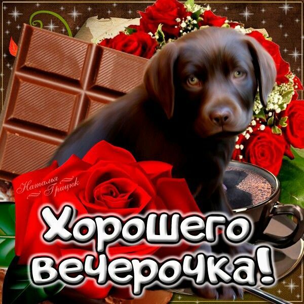 Хорошего вечерочка!