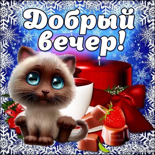 Добрый вечер!
