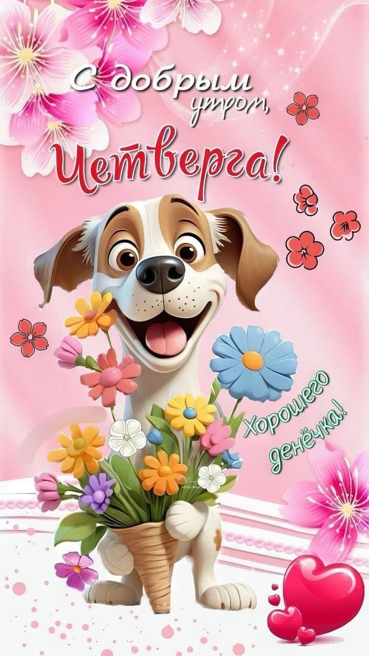 С добрым утром, Четверга! Хорошего денёчка!