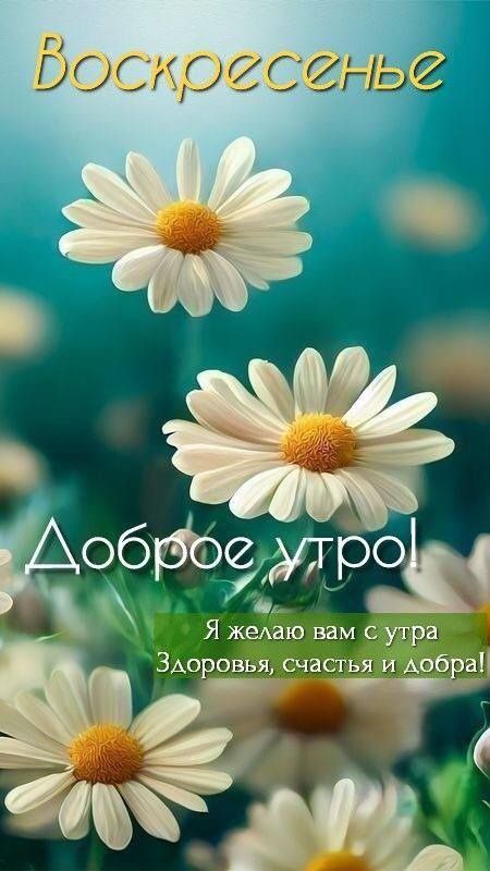 Воскресенье
Доброе утро!
Я желаю вам с утра здоровья, счастья и добра!