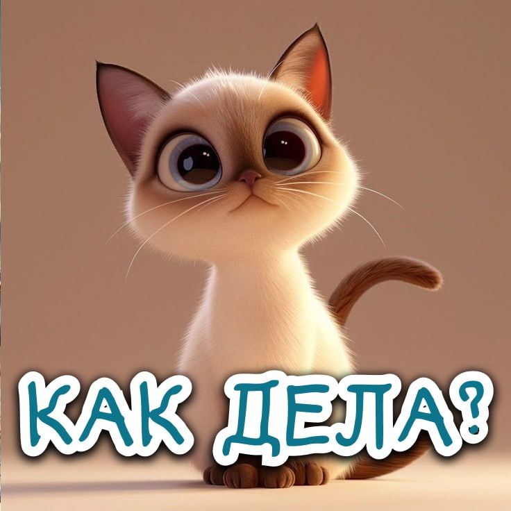 Как дела?