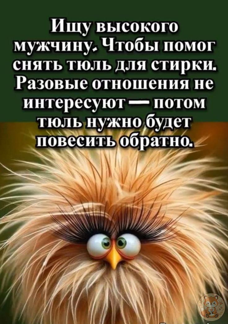 Ищу высокого мужчину. Чтобы помог снять тюль для стирки. Разовые отношения не интересуют — потом тюль нужно будет повесить обратно.