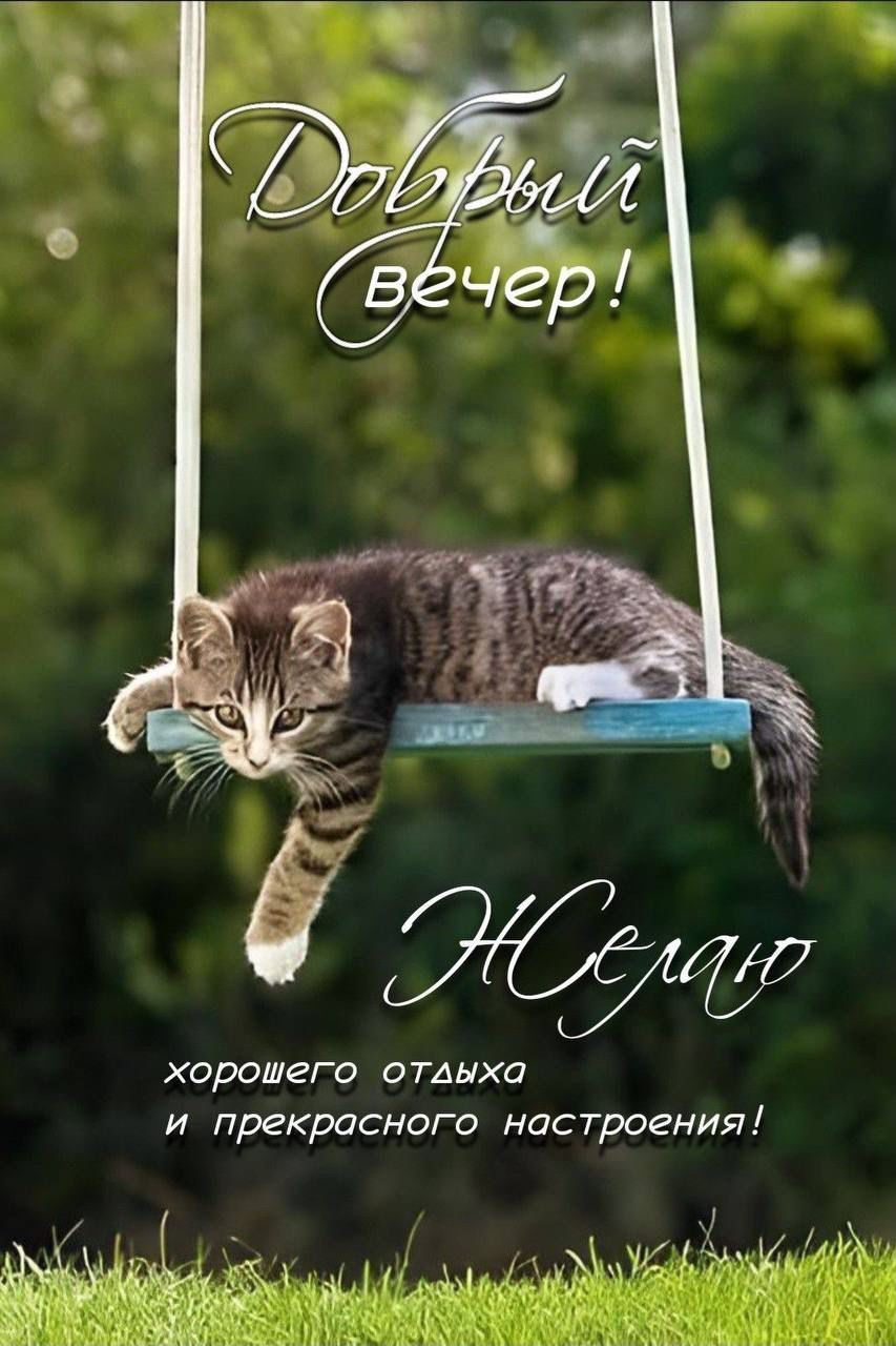 Добрый вечер!
Желаю хорошего отдыха и прекрасного настроения!