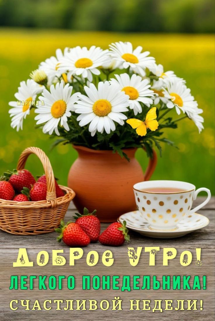 ДОБРОЕ УТРО! ЛЕГКОГО ПОНЕДЕЛЬНИКА! СЧАСТЛИВОЙ НЕДЕЛИ!