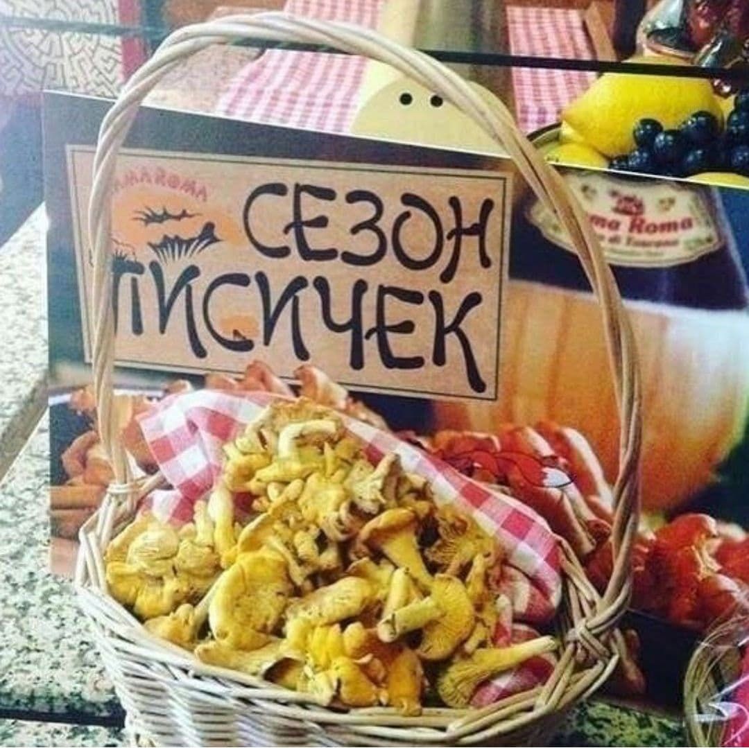 СЕЗОН ПИСИЧЕК