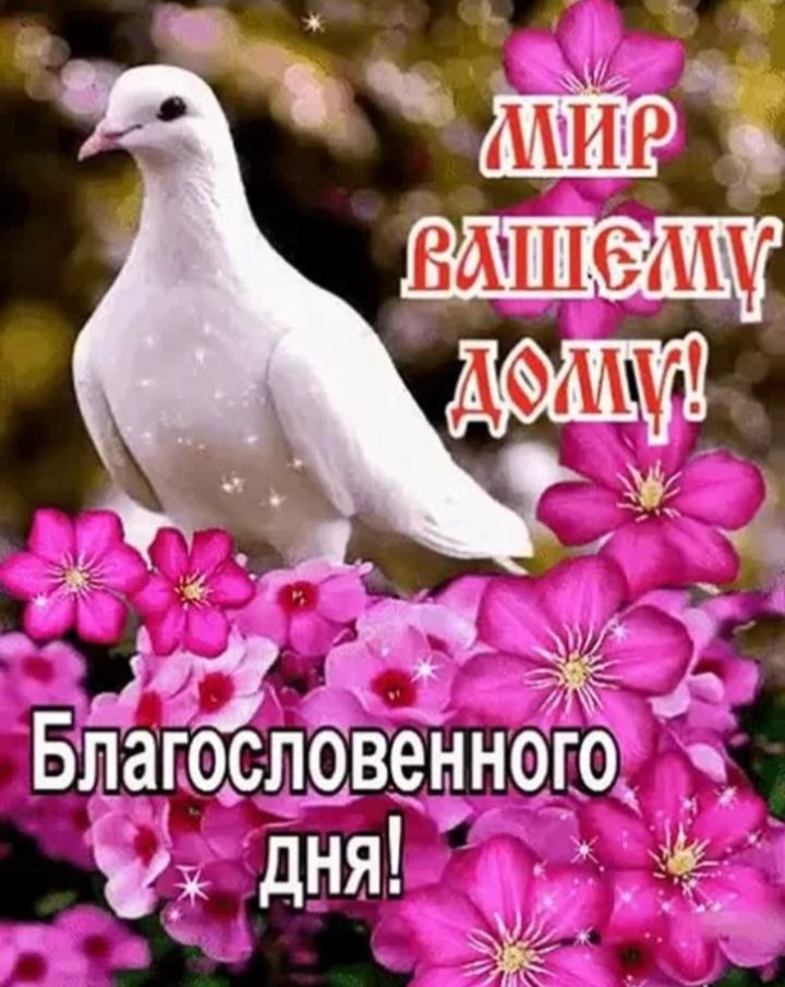 МИР ВАШЕМУ ДОМУ! Благословенного дня!