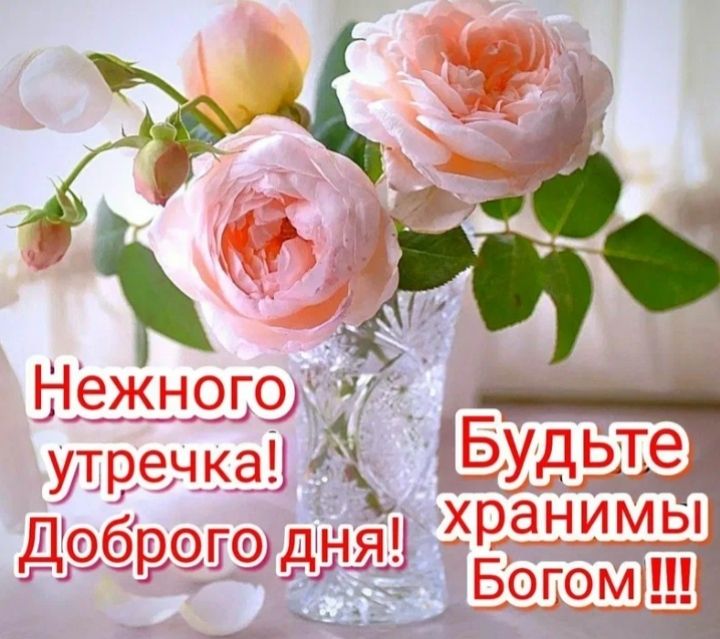 Нежного утречка! Доброго дня! Будьте хранимы Богом!!!