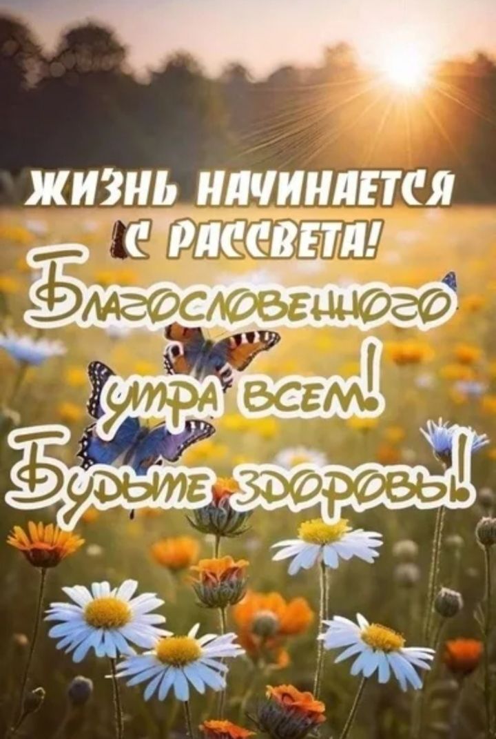 Жизнь начинается с рассвета! Благословенного утра всем! Будьте здоровы!