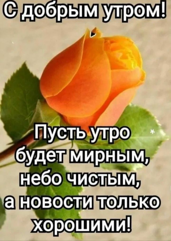 С добрым утром! Пусть утро будет мирным, небо чистым, а новости только хорошими!