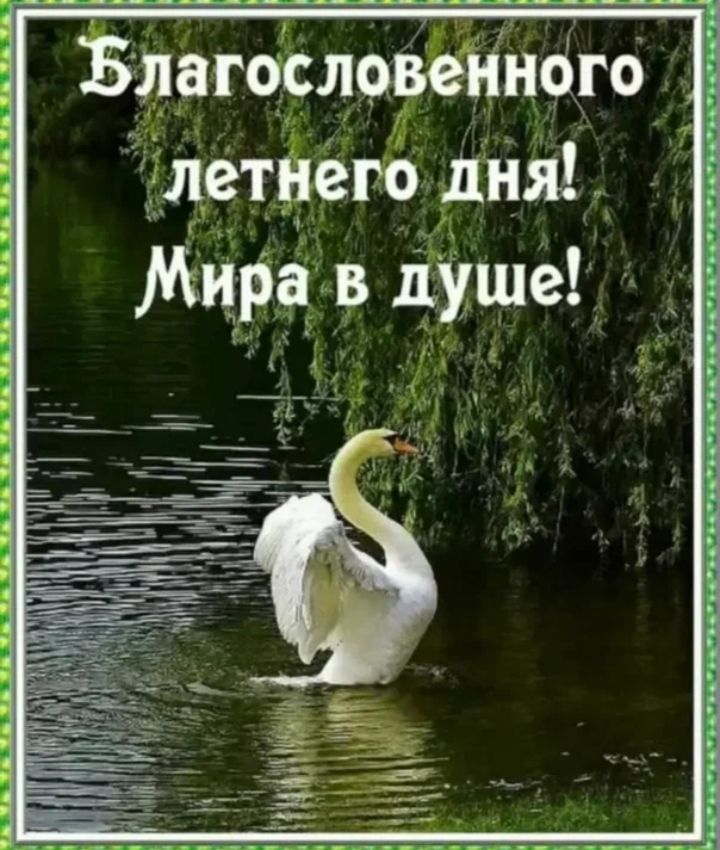 Благословенного летнего дня! Мира в душе!