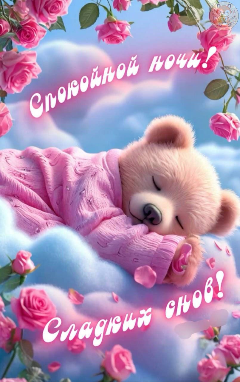 Спокойной ночи! Сладких снов!