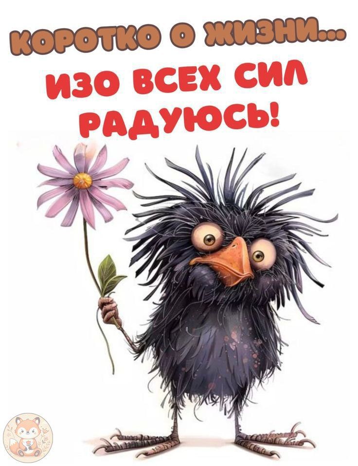 Коротко о жизни... ИЗО ВСЕХ СИЛ РАДУЮСЬ!