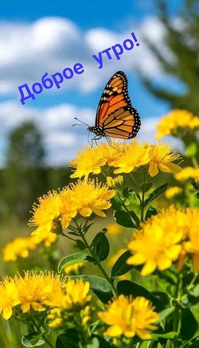 Доброе утро!