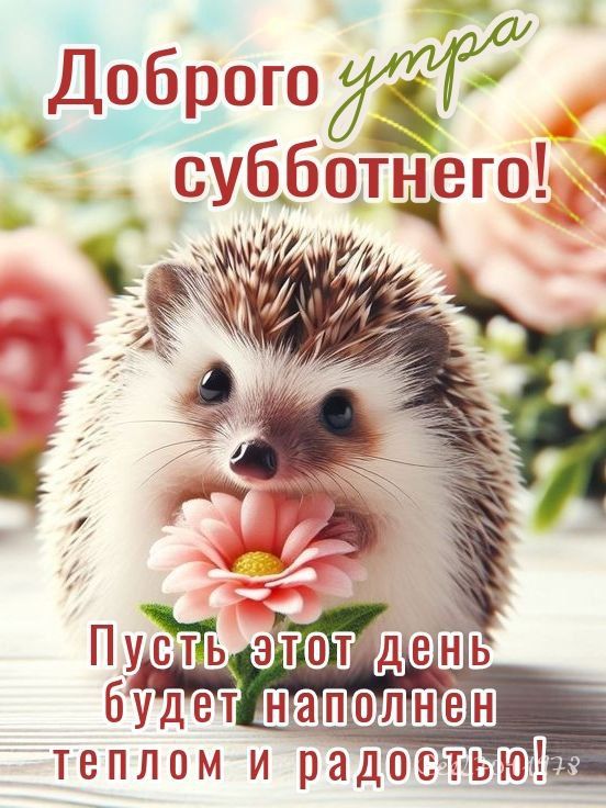 Доброе утро субботнего! Пусть этот день будет наполнен теплом и радостью!