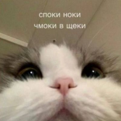 споки ноки
чмоки в щёки