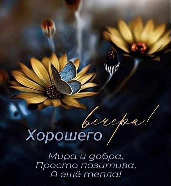 вечера! Хорошего
Мира и добра,
Просто позитива,
А ещё тепла!
