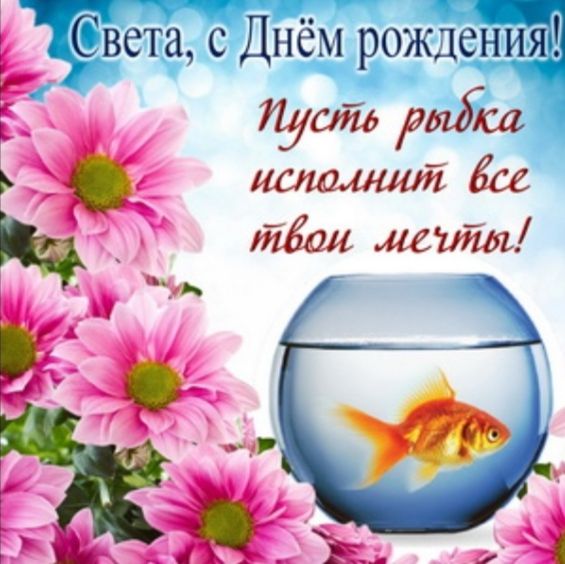 Света, с Днём рождения! Пусть рыбка исполнит все твои мечты!
