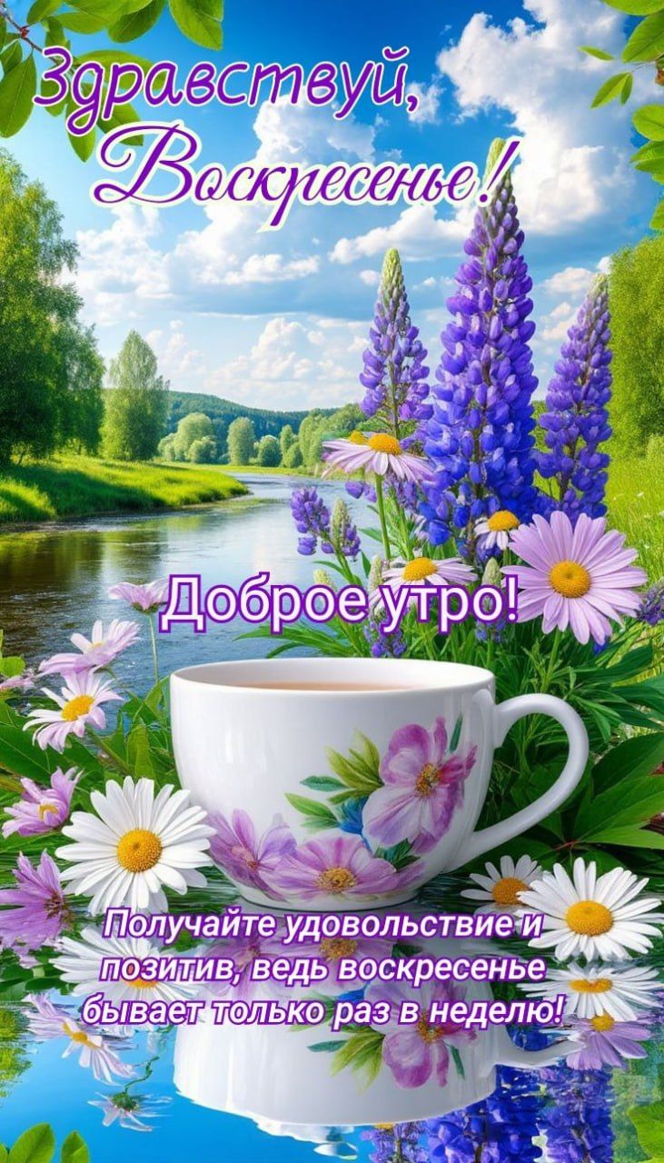 Здравствуйте, Воскресенье!
Доброе утро!
Получайте удовольствие и позитив, ведь воскресенье бывает только раз в неделю!