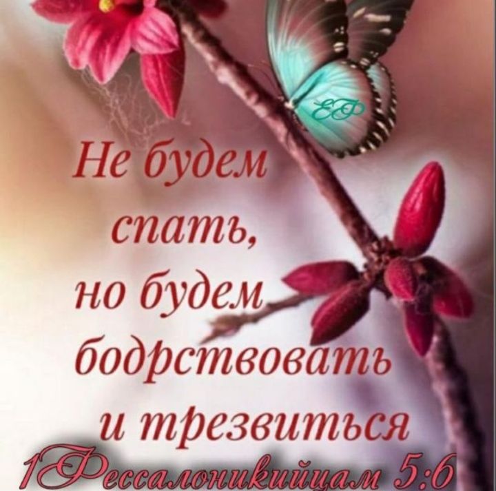 Не будем спать, но будем бодрствовать и трезвиться 1 Фессалоникийцам 5:6