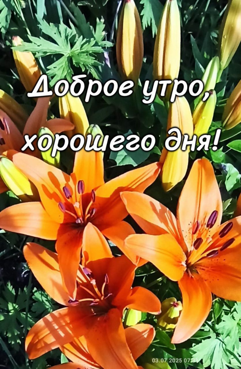 Доброе утро, хорошего дня!