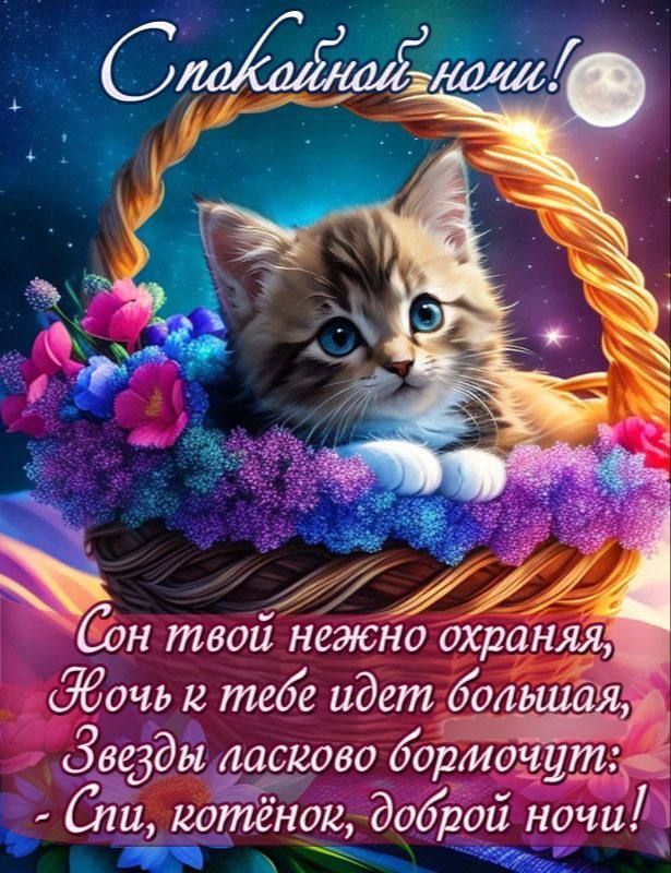 Спокойной ночи!
Сон твой нежно охраняя,
Ночь к тебе идет большая,
Звезды ласково бормочут:
- Спи, котенок, доброй ночи!