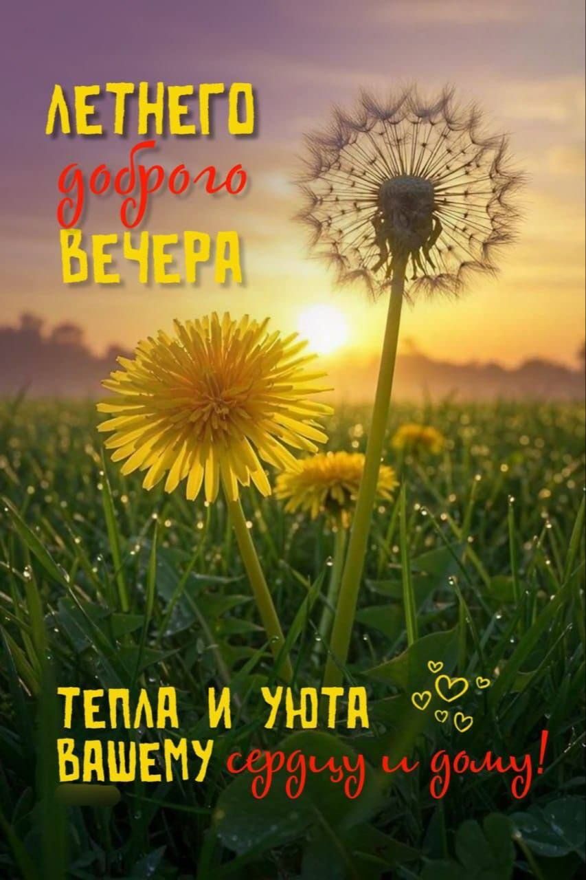 Летнего доброго вечера
Тепла и уюта вашему сердцу и дому!