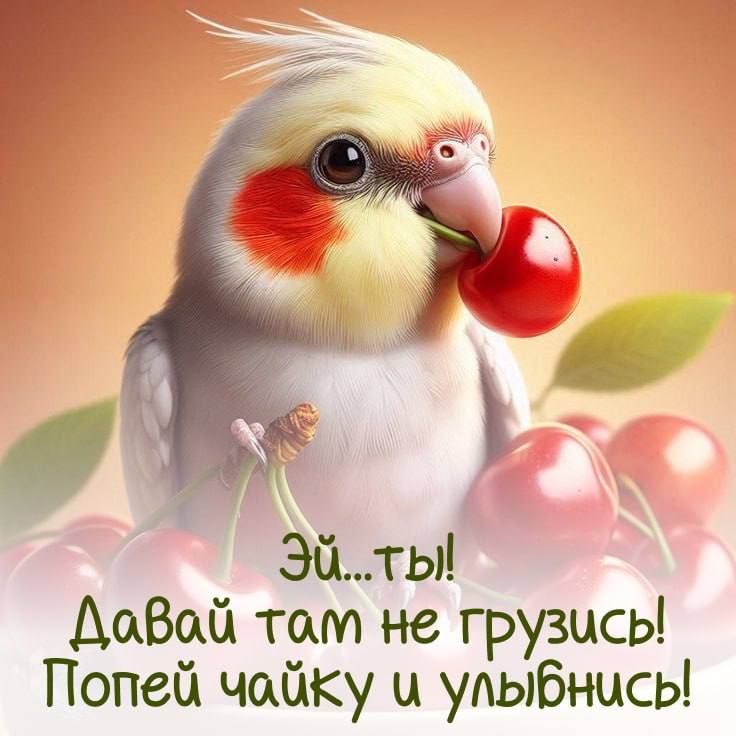 Эй... ты! Давай там не грусь! Попей чайку и улыбнись!