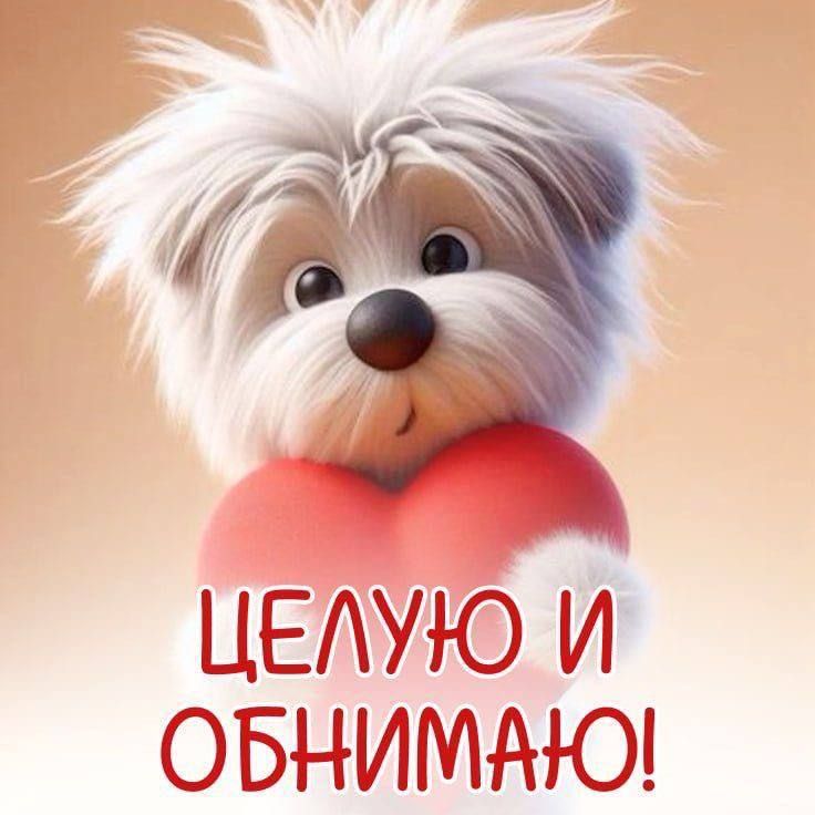 ЦЕЛУЮ И ОБНИМАЮ!