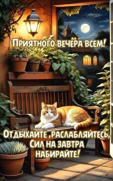 Приятного вечера всем! Отдыхайте, расслабляйтесь, сил на завтра набирайте!