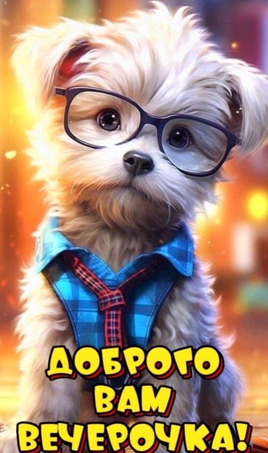Доброго вам вечерочка!